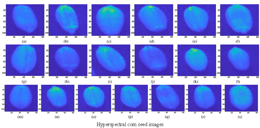 农业高光谱图像示例2