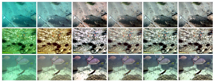 水下图像增强示例3